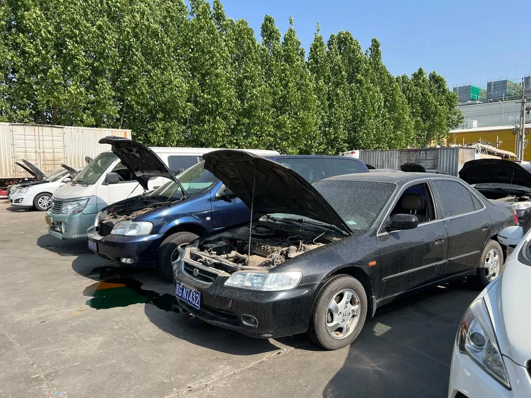 u=1305622889,2838076822&fm=253&app=138&f=JPEG